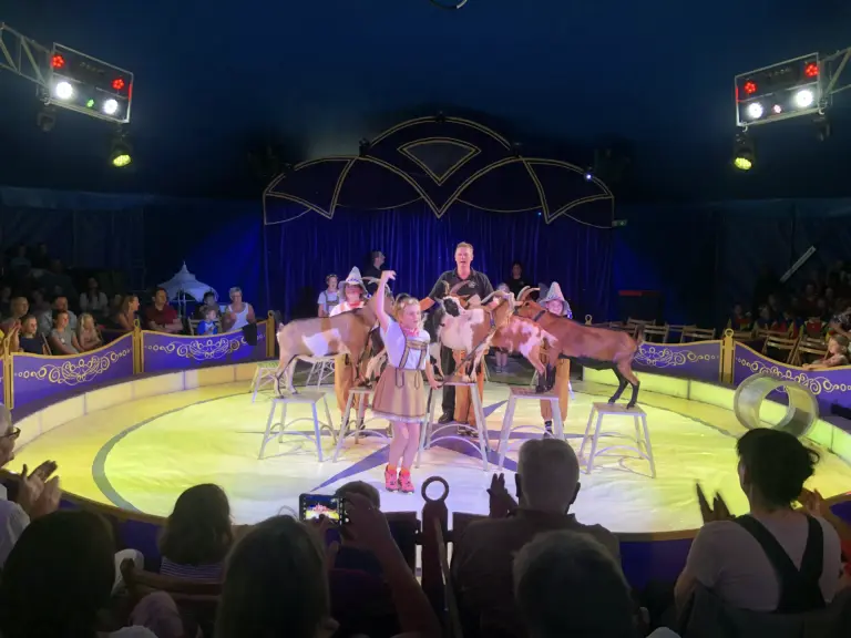 Schule Huglfing Zirkus Ziegen Kinder