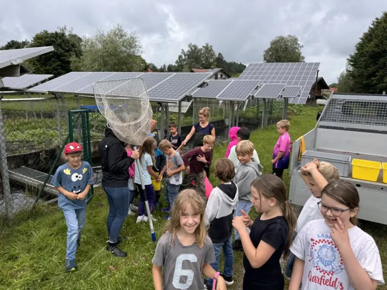 Schule Hugfling Aktuelles Fischweiher Abtransport Fische