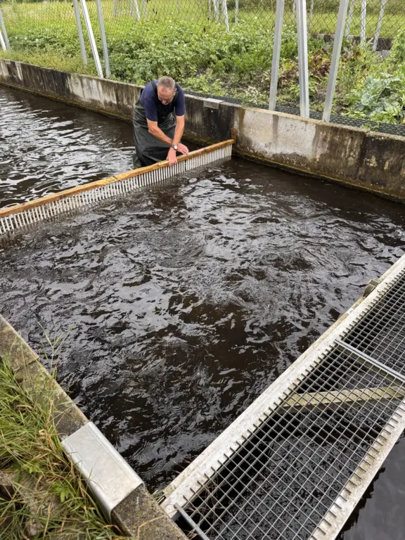 Schule Hugfling Aktuelles Fischweiher Eingrenzung