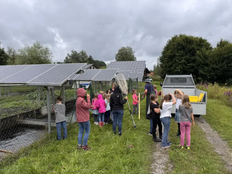 Schule Hugfling Aktuelles Fischweiher Erklärung