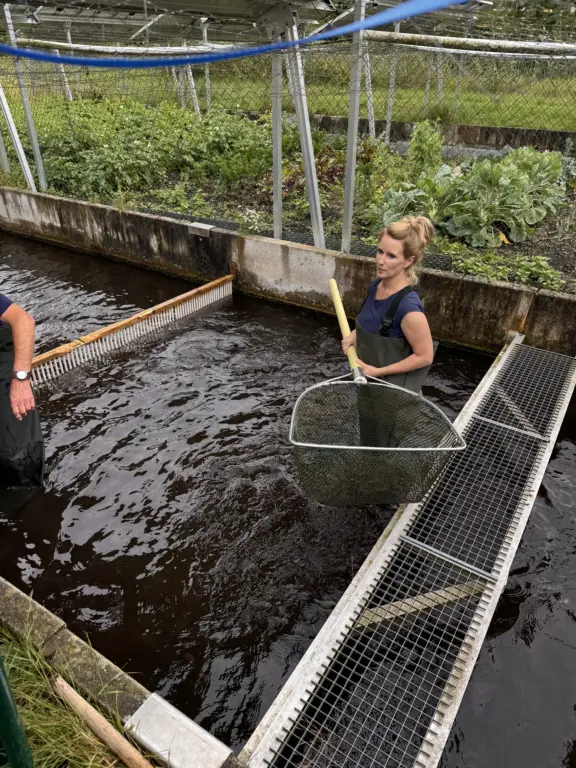 Schule Hugfling Aktuelles Fischweiher Kescher 2