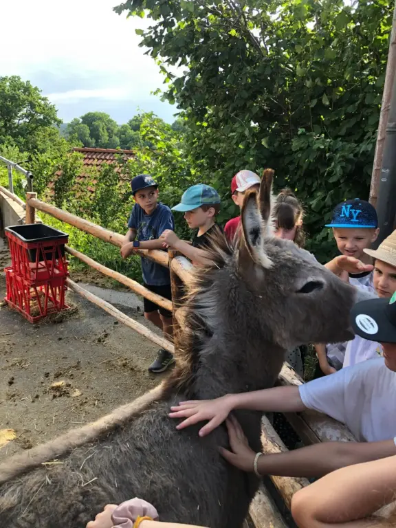 Schule Huglfing Aktuelles Bauernhof Eselstreicheln