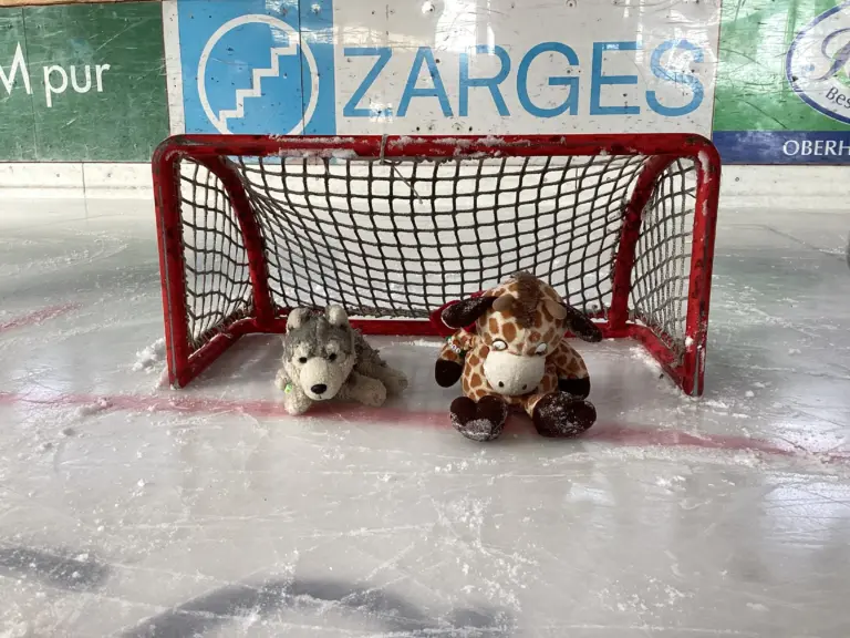 Schule Huglfing Aktuelles Eislaufen Giraffe Wolfi Tor