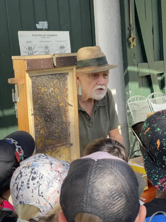 Schule Huglfing Aktuelles Lernort Natur Bienenwaben