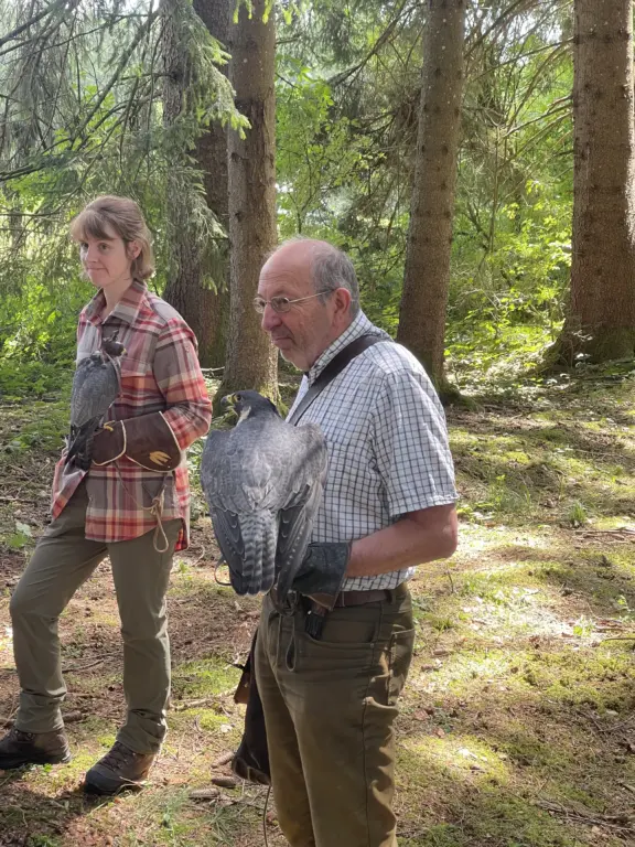 Schule Huglfing Aktuelles Lernort Natur Falkner