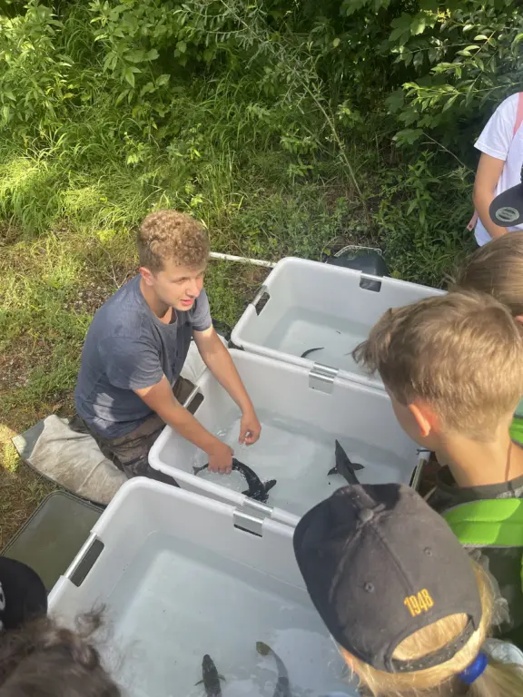 Schule Huglfing Aktuelles Lernort Natur Welse